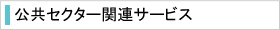 公共セクター関連サービス