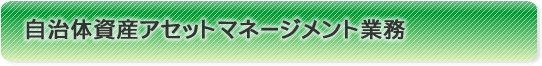 自治体資産アセットマネジメント業務